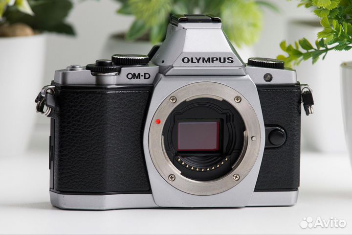 Olympus OM-D E-M5 Kit