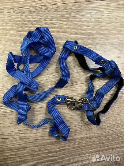 Воротник защитный и поводок