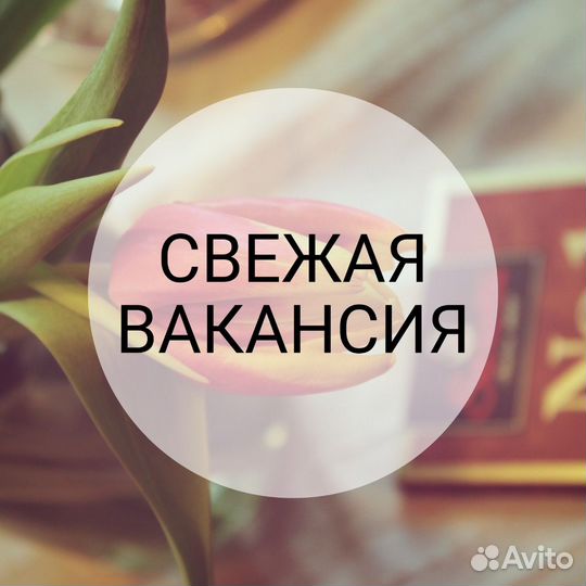 Менеджер по продажам (сутки)