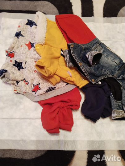 Одежда для собак мелких пород