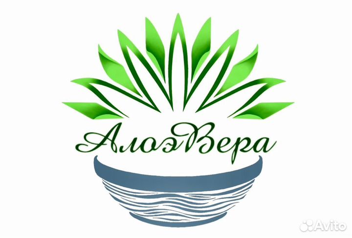 Озеленение. Уход за растениями. Алоэ Вера