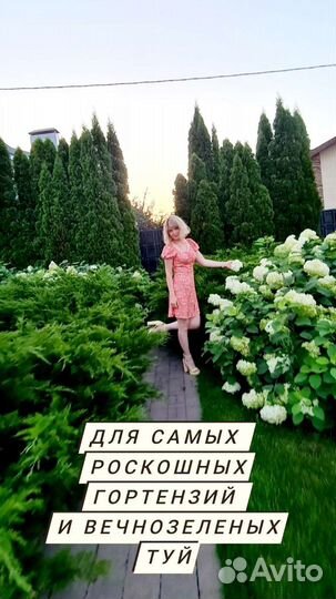 Торф для туй и гортензий г.Тамбов