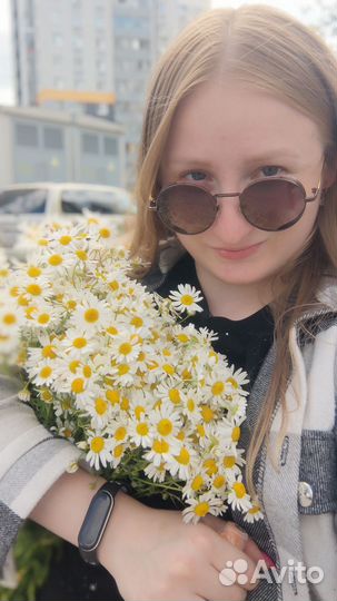 Администратор