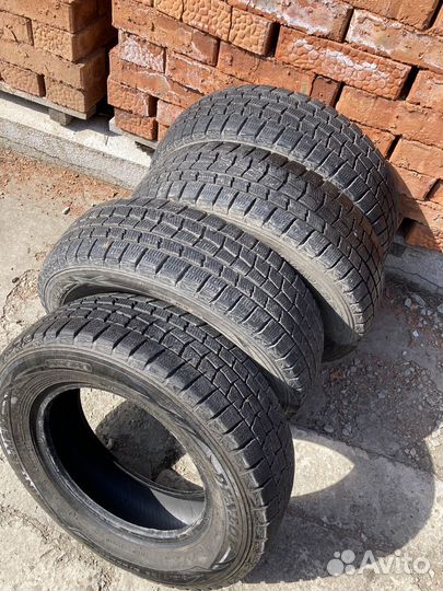 Dunlop Winter Maxx WM01 175/70 R13