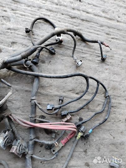 Проводка двигателя 1,6 K4M Nissan Almera G15