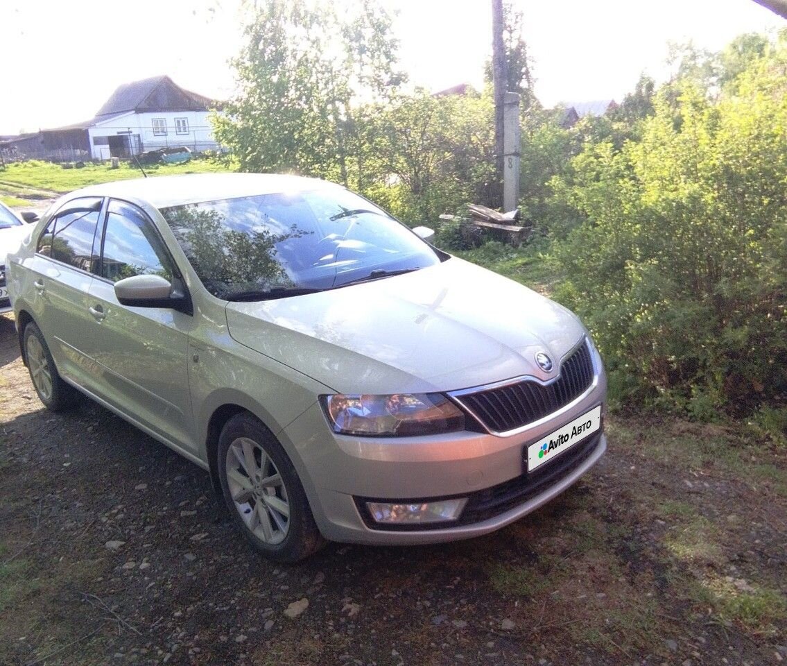 Skoda Rapid: фото владельца