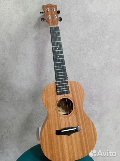 Укулеле концерт enya