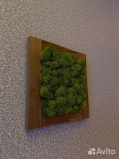 Картина из мха