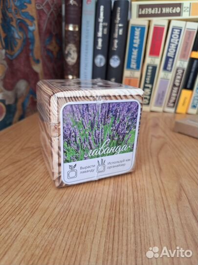 Набор для выращивания (лаванда)
