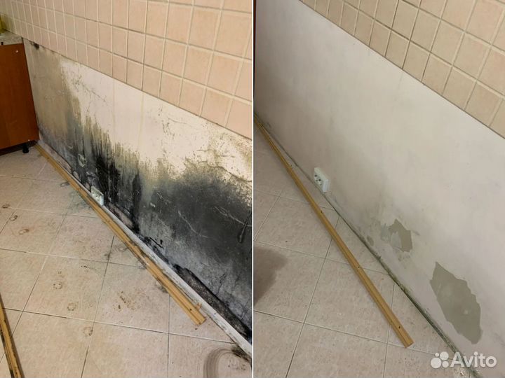 Дезинфекция Уничтожение тараканов