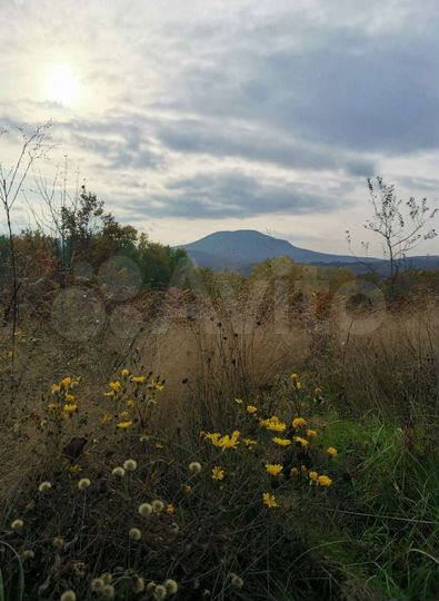 Участок 2,8 га (ИЖС)