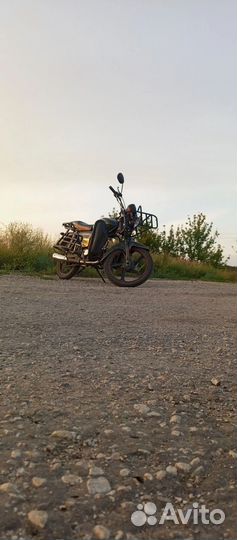 Альфа ягуар лесник