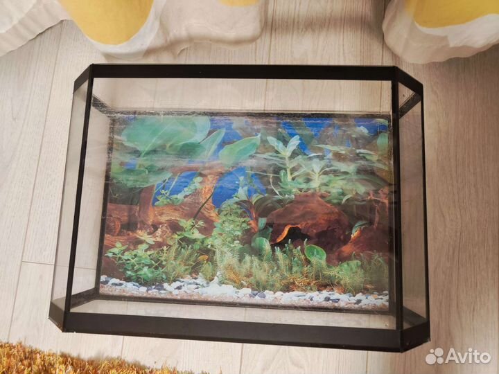 Аквариум полный комплект