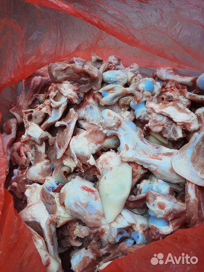 Кости для собак свинина