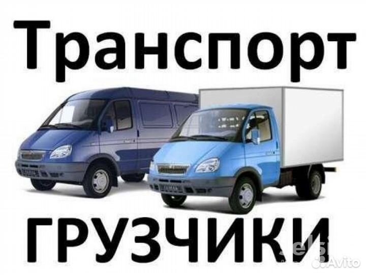 Опытные грузчики