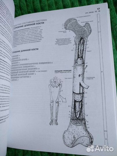 Медицинские книги