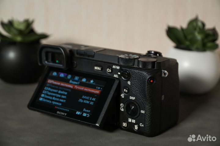 Sony a6600 body
