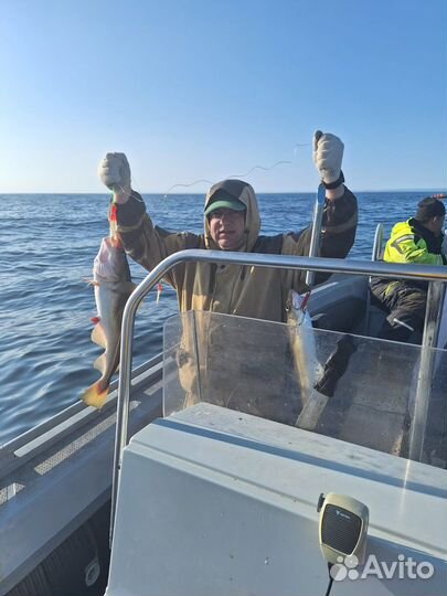 Рыбалка и отдых