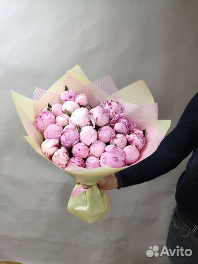 Пионы голландский