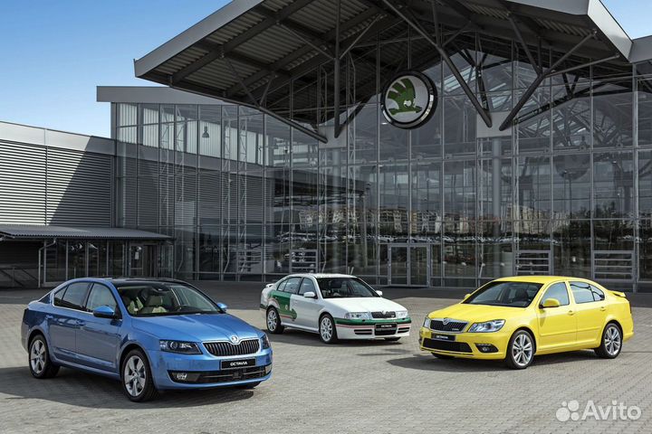 Лобовое стекло Skoda Octavia. Магазин автостекол