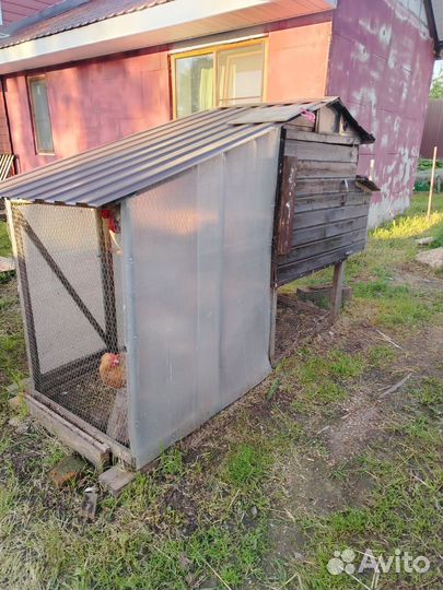 Курятник зимний