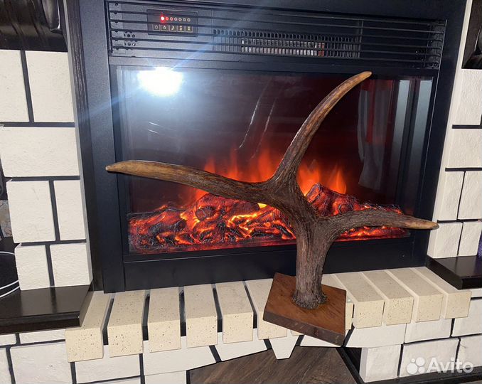 Продам рога лося