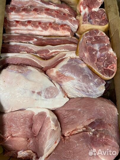 Мясо свинина, короб 15-20 кг