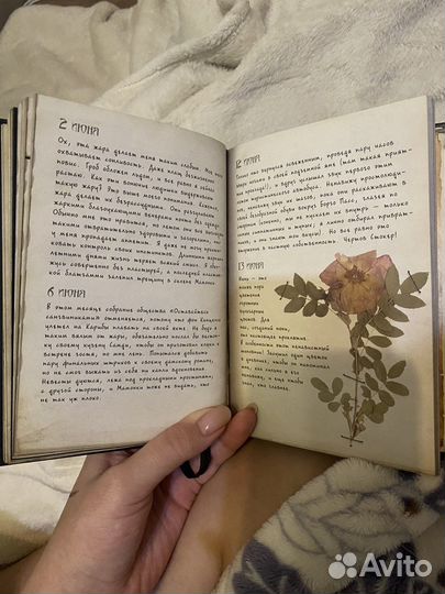 Поддлинные дневники вампира. граф дракула