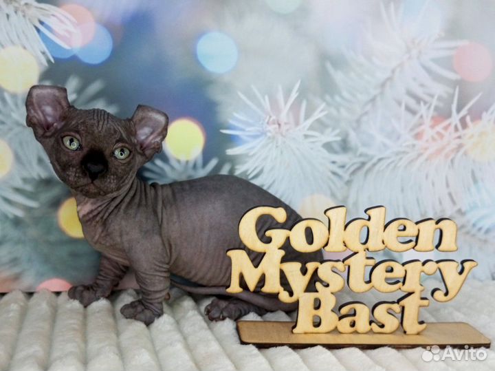 Сфинкс Двэльф