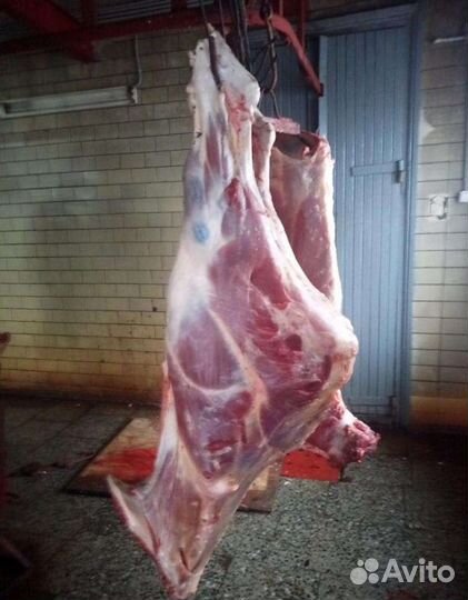 Говядина четверть с разрубом и бесплатной доставко