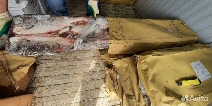 Нерка свежемороженная