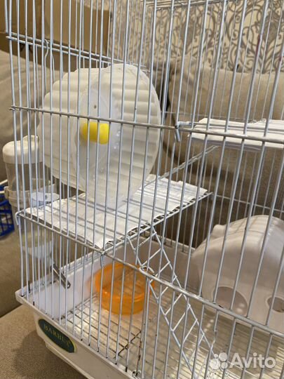 Клетка для мелкого грызуна (хомяка)