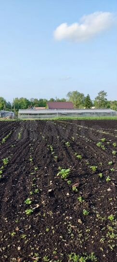 Дом 65 м² на участке 15 сот.