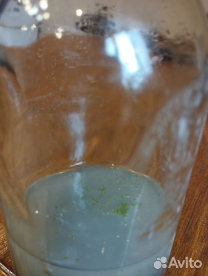 Фласка орхидеи