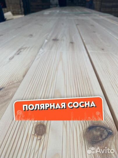 Палубная доска