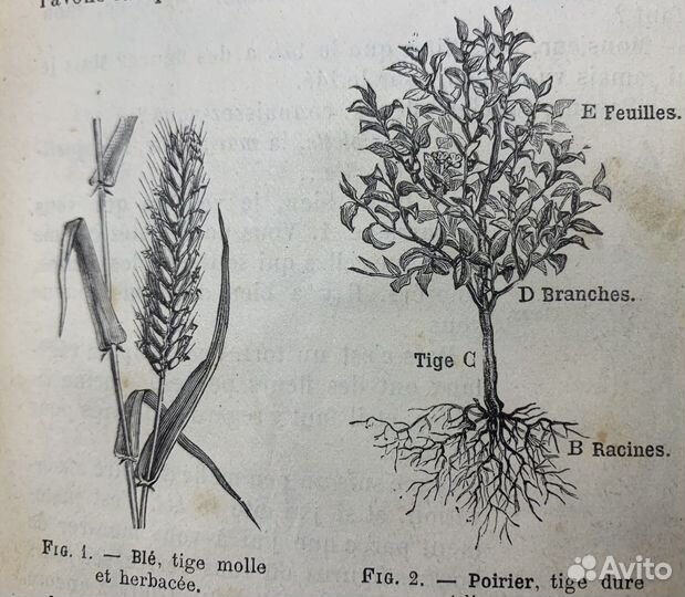 Антикварная научная книга с Гравюрами 1887 год