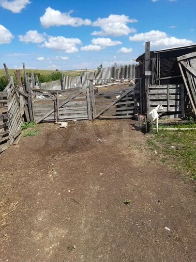 Участок 33,2 га (СНТ, ДНП)