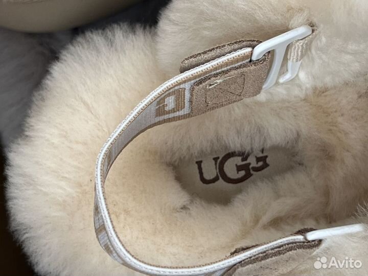 Тапки женские угги Ugg Slippers Disquette