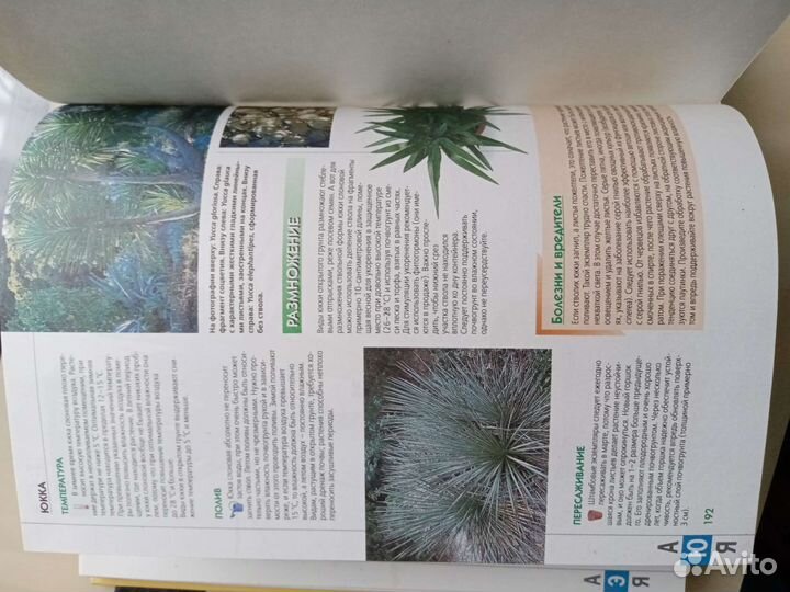 Книга. Мини-энциклопедия 