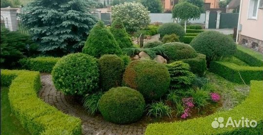 Садоводство