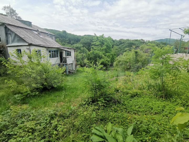 Дом 58,8 м² на участке 6 сот.