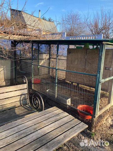 Курятник с выгулом для куриц