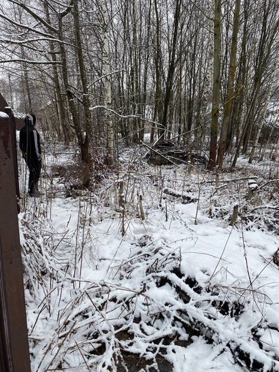 Участок 10 сот. (СНТ, ДНП)