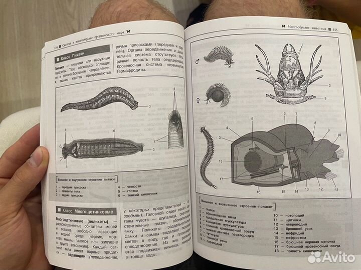 Справочник по биологии к огэ/егэ