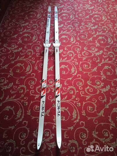 Беговые лыжи fischer