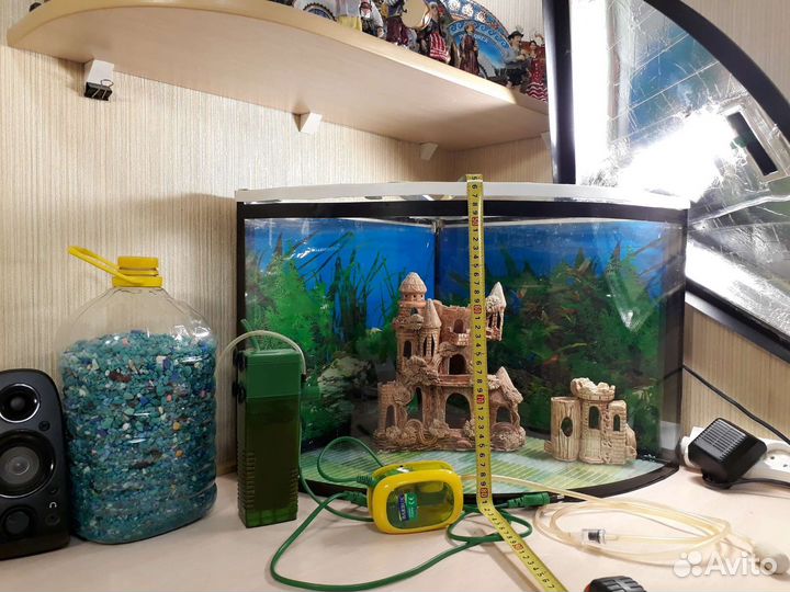 Аквариум