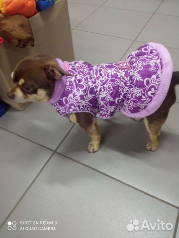 Жилетка для собачки, комбинезон флисовый