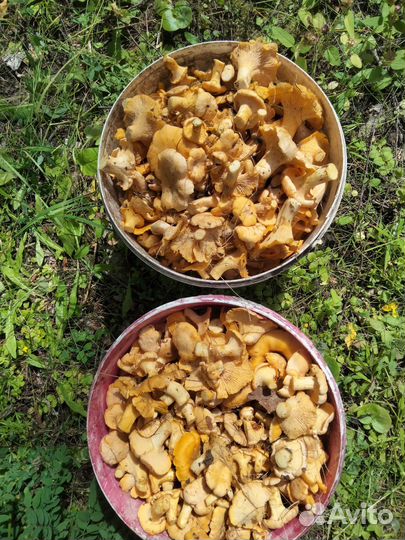 Продукты питания