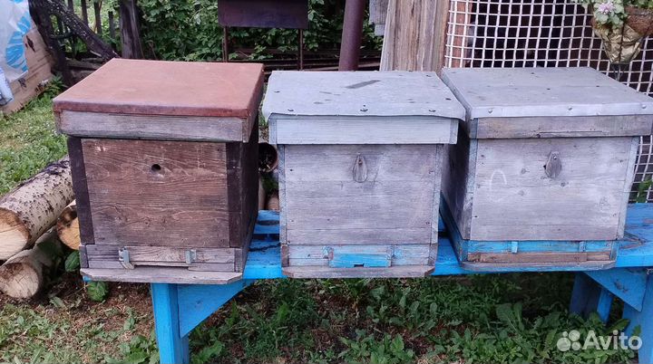 Улей для пчел бу