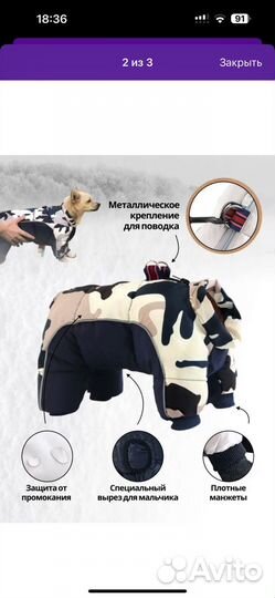 Комбинезон для маленькой собаки